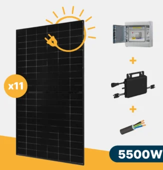 kit solaire 1000w 2 panneaux dmegc 500w