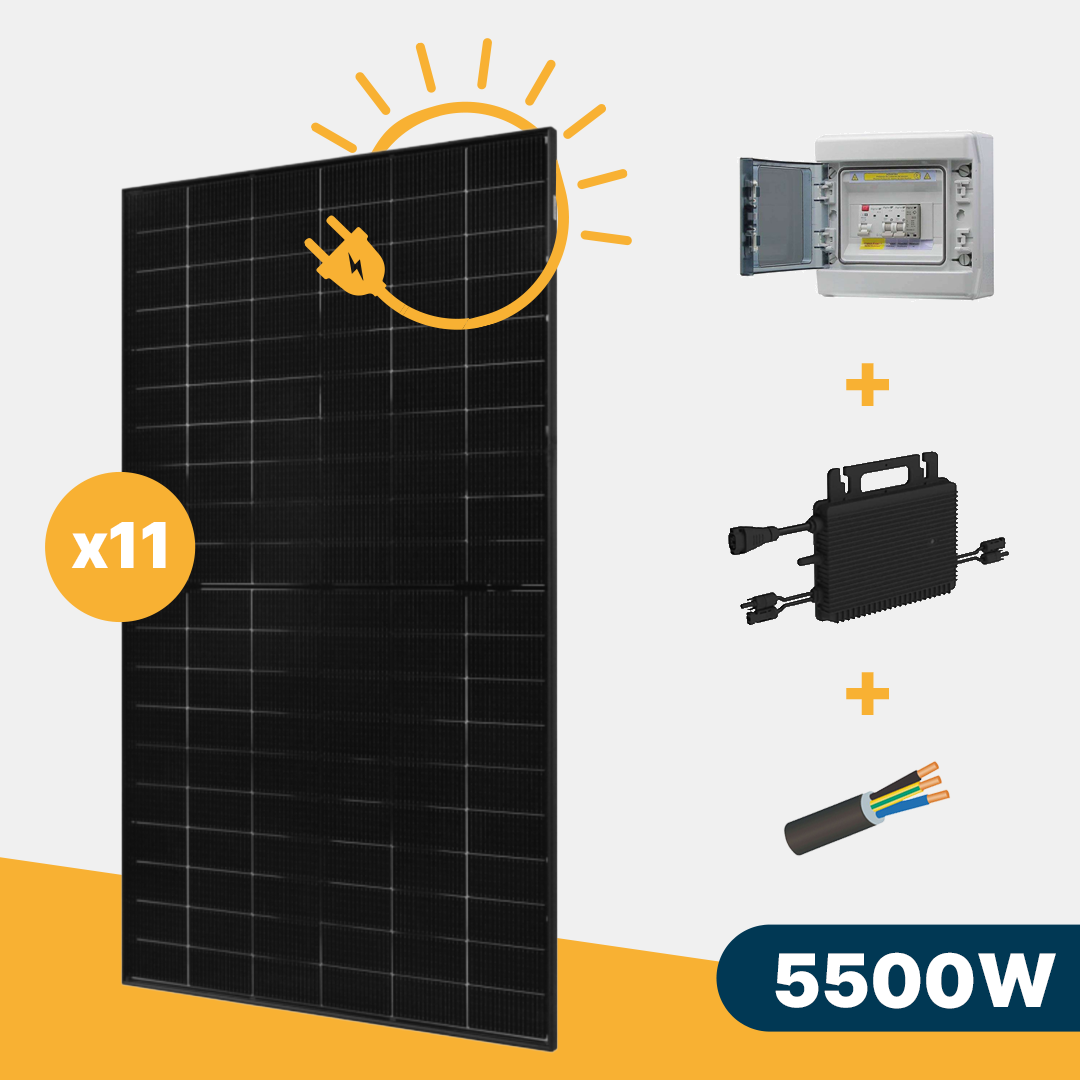 kit solaire 1000w 2 panneaux dmegc 500w