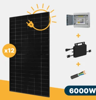 kit solaire 1000w 2 panneaux dmegc 500w